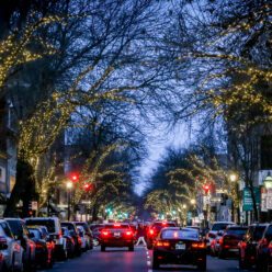 Evening streetscape with twinkling lights in trees