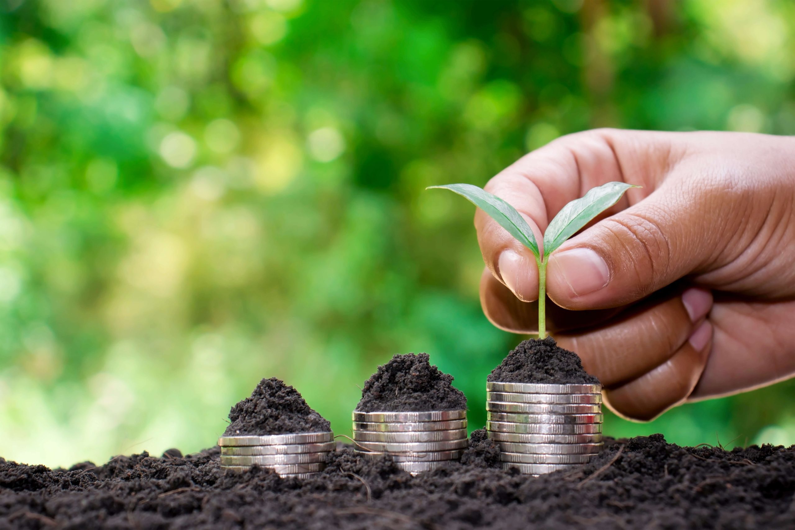 Coins piled in the dirt with a hand placing a small plant on one of the piles.