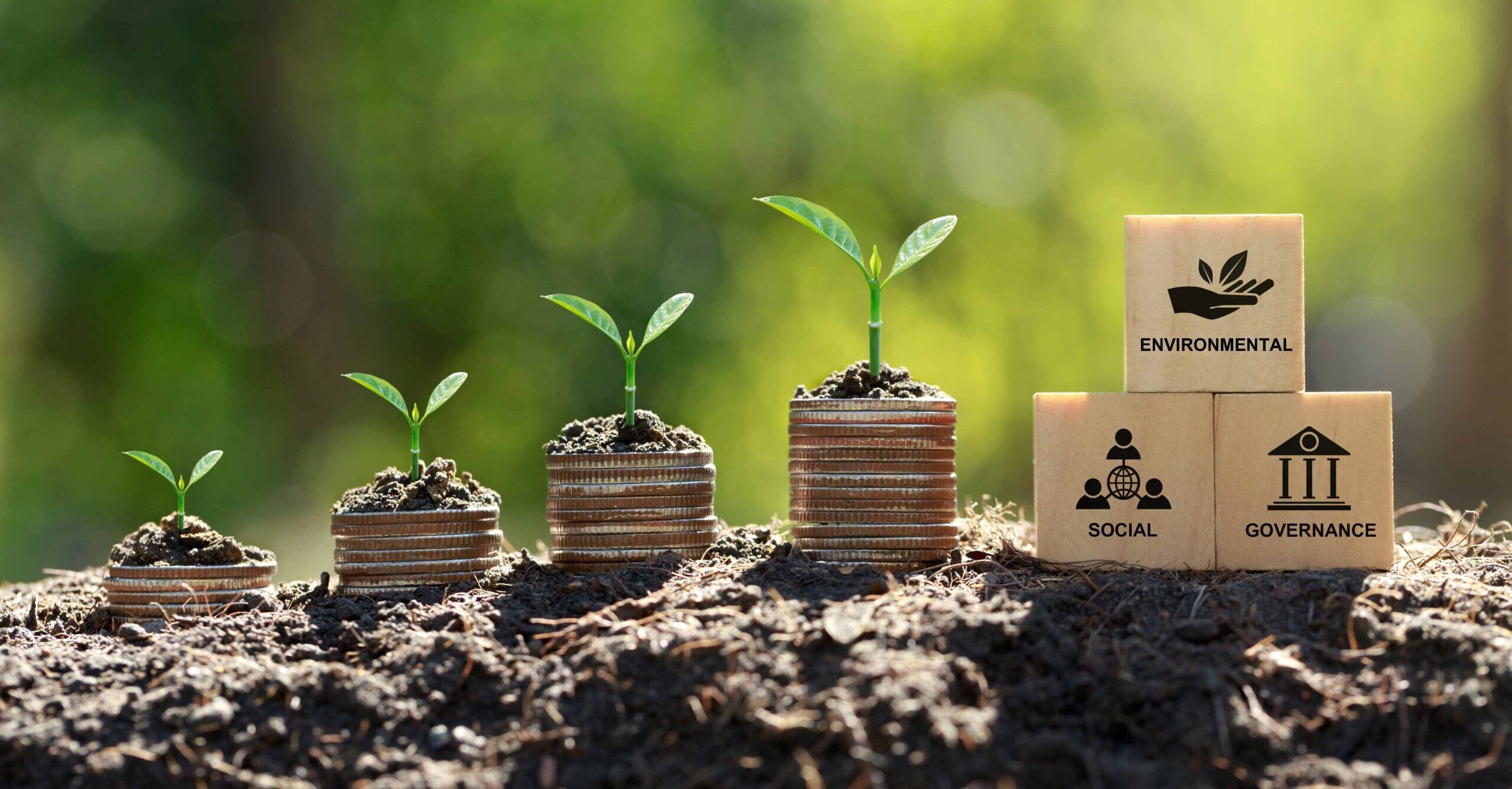 Stacks of coins sit in the dirt with small plants growing out of them next to three blocks with the words "Social" "Environmental" and "Governance" written on them.